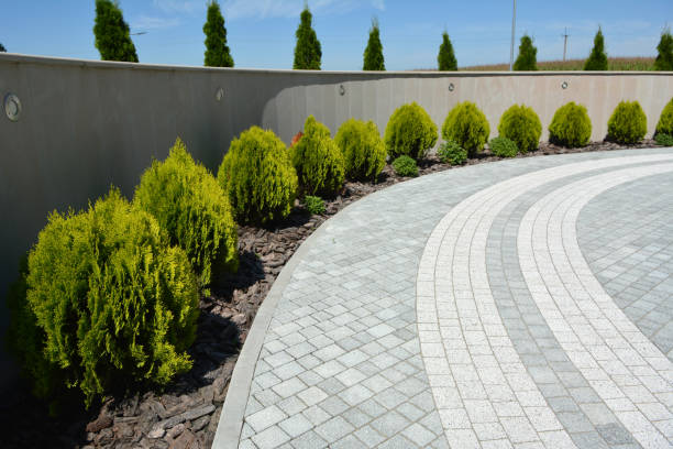 Best Professional Driveway Pavers  in Del Norte, CO